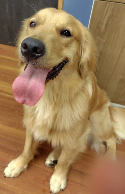 「尼崎市」お久しぶりのあぽろくん❤️