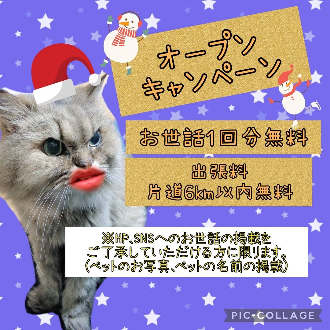年末年始のご予約承ります☃️