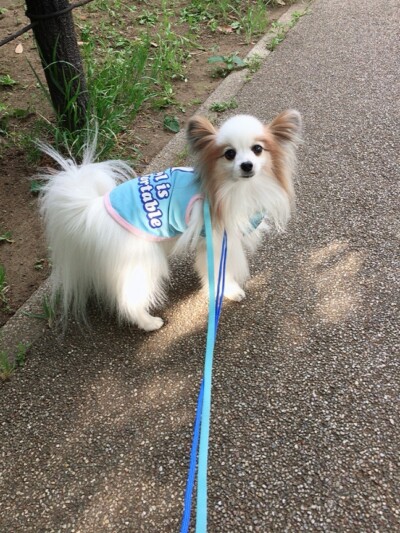 お散歩&お世話🎶