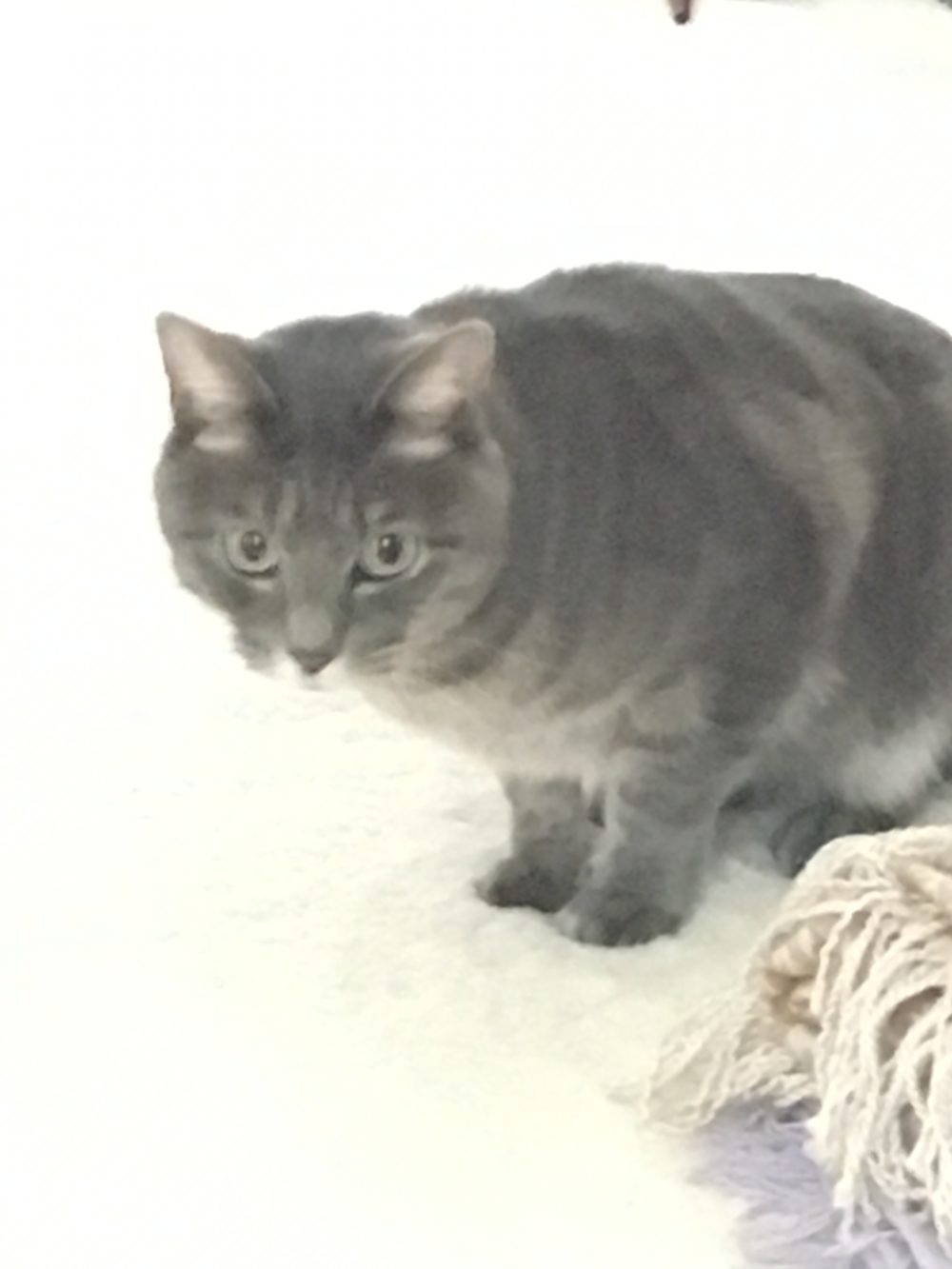 31.1.12藤枝市アルくんのお世話3日目