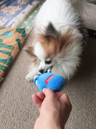 カウンセリング🎶