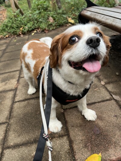 お誕生日迎えました🎊