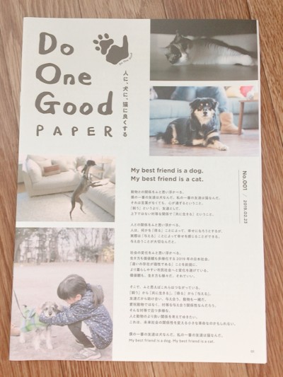 ボランティア💕