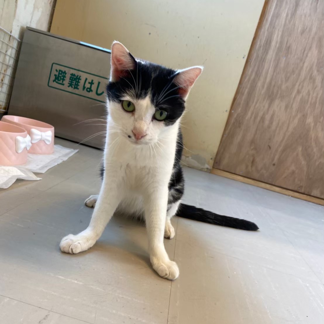 2024年末・2025年始繁忙期のお知らせ