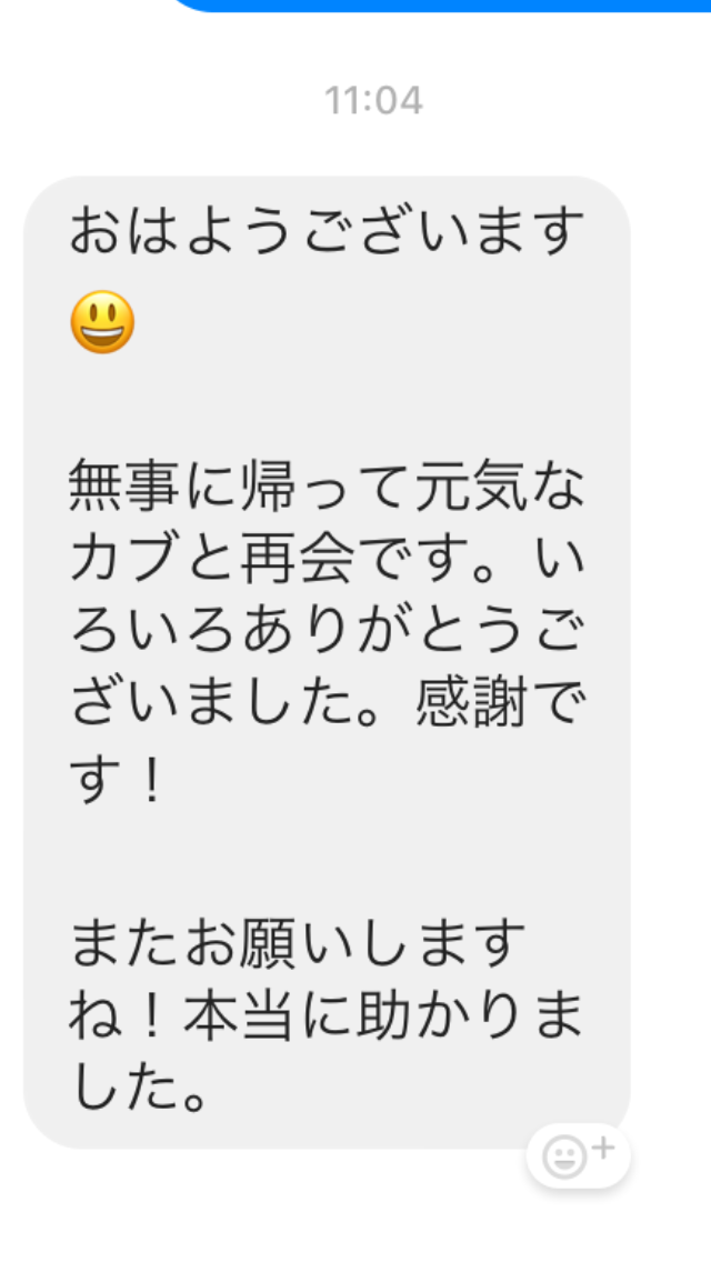 焼津市の柴犬かぶ君の飼い主様から頂いたメール