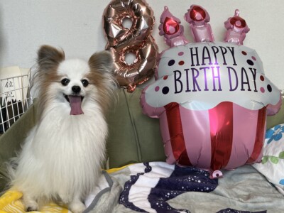 お誕生日を迎えました🎉