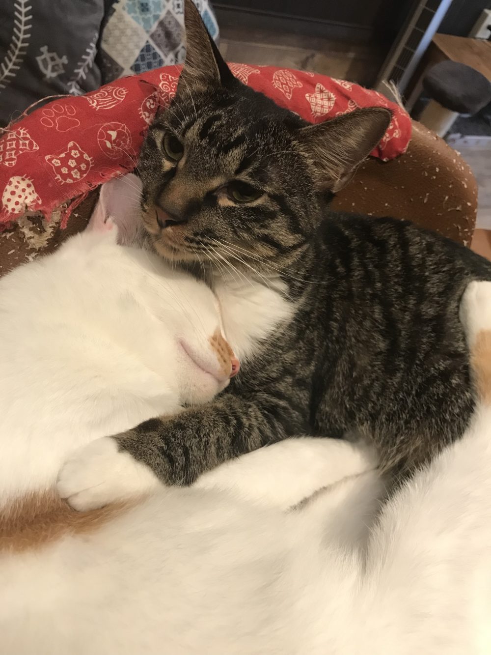 繁忙期のお知らせ