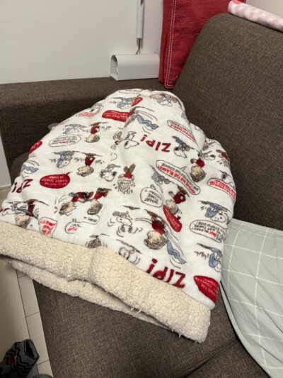 猫ちゃんのお世話🐈‍⬛