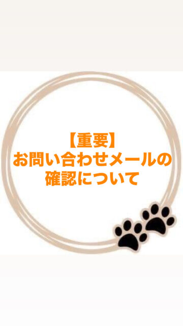 お問い合わせメールの確認について🐾