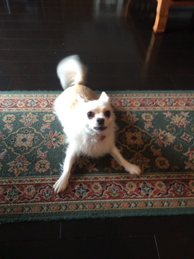 カウンセリング🎶