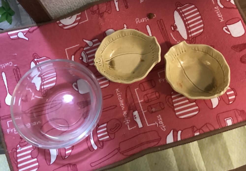 キャットシッター☆福岡市中央区 ビギちゃん③