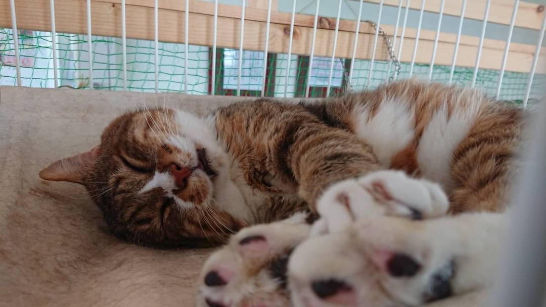 繁忙期のお知らせ