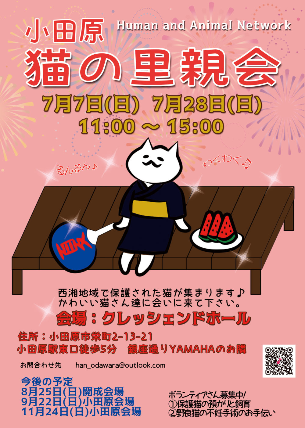 保護猫しろちゃんと譲渡会