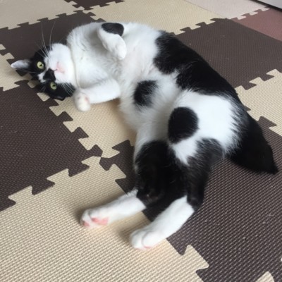 久しぶりのお世話😍