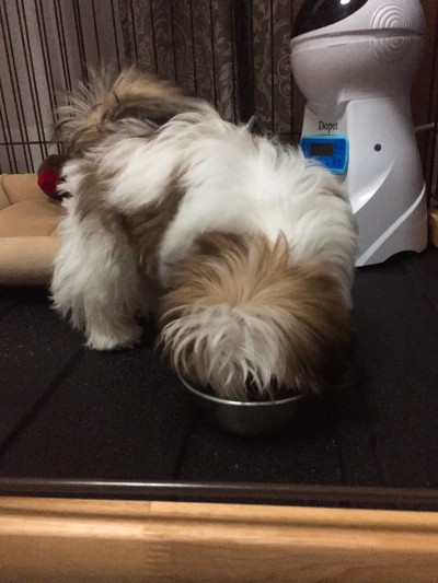 リーリーちゃんのお世話♪