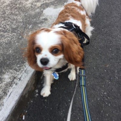 カズ君のお世話🐾🐾