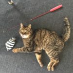 初回カウンセリング♪