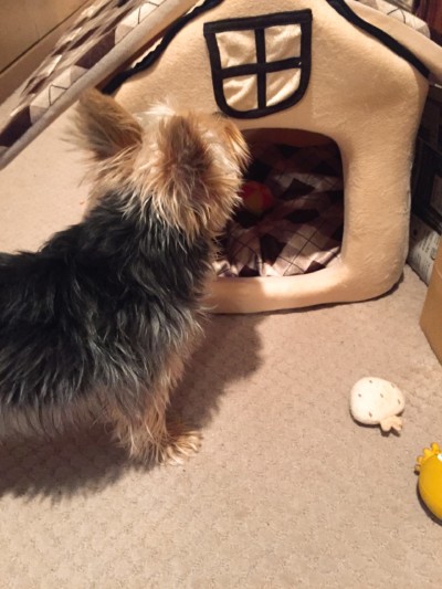 お散歩＆お世話🌟