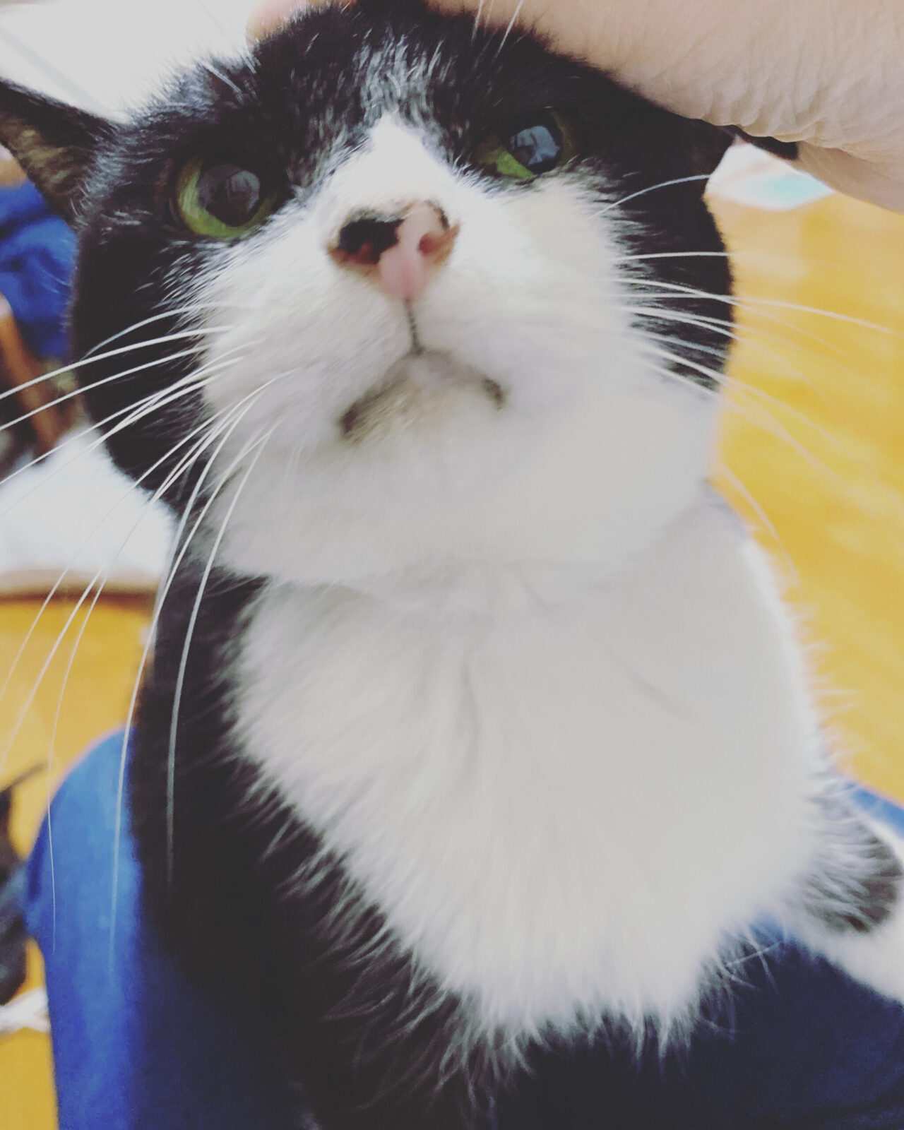 年末年始のお知らせ