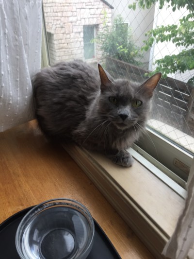 カウンセリング♪