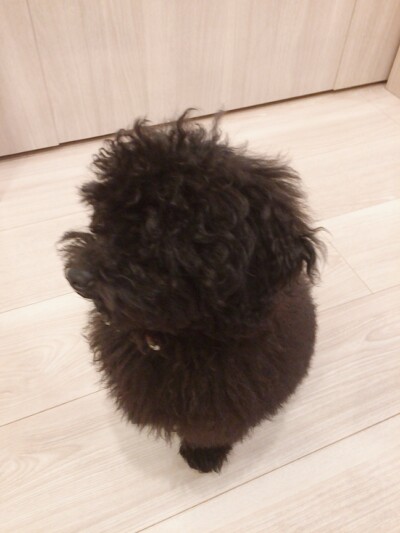 カウンセリング🎶