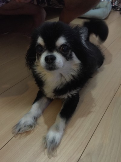 カウンセリング🎶