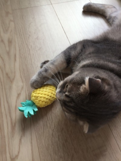 カウンセリング🎶