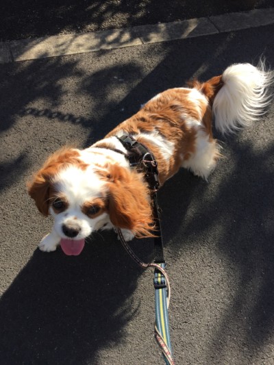 カズ君のお世話🐾🐾