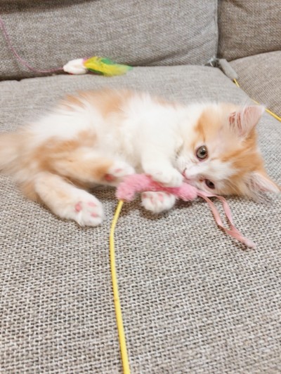 可愛い兄妹🎶💕