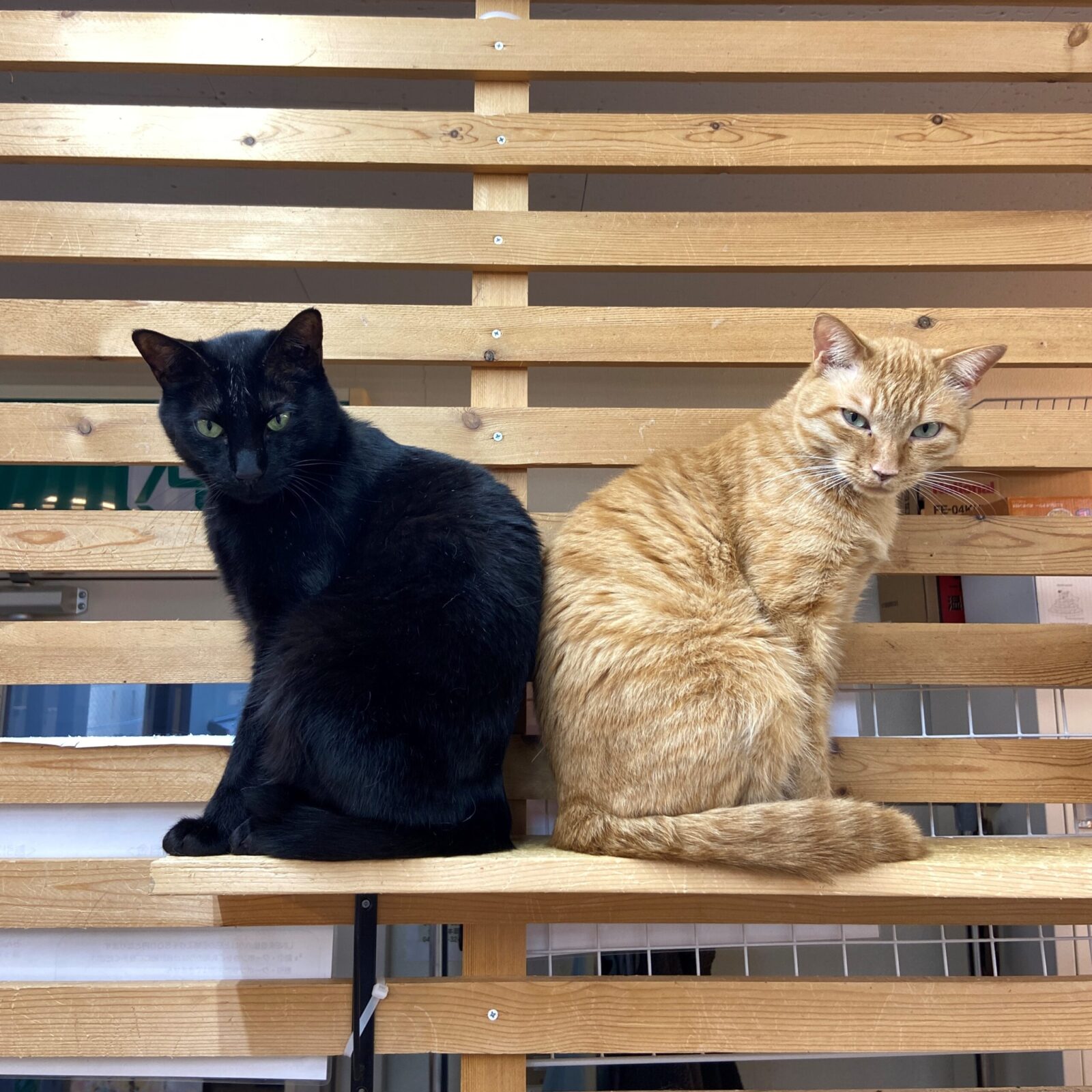 繁忙期のお知らせ