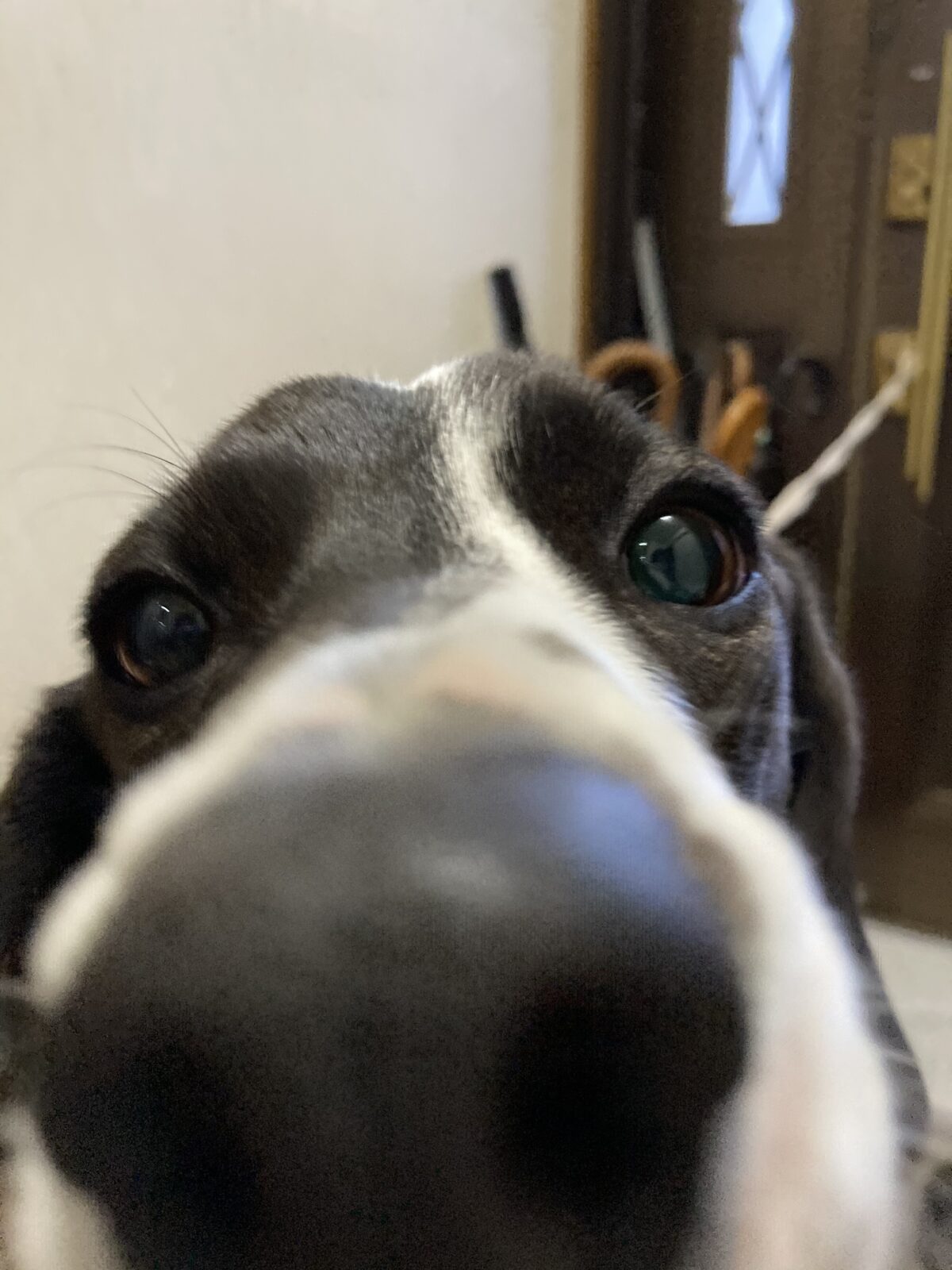 R3.3.6〜7先週末に引き続きユキちゃんのお世話