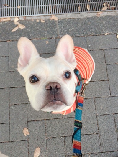 久しぶり💕のお散歩🎶