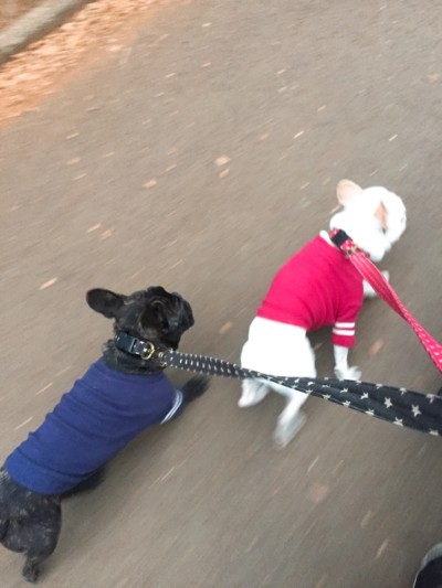 3匹のお世話🐾🐾🐾