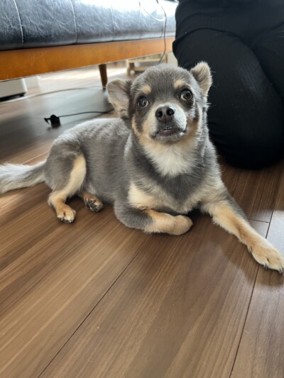 初回カウンセリング🎶