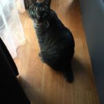 初回カウンセリング♪