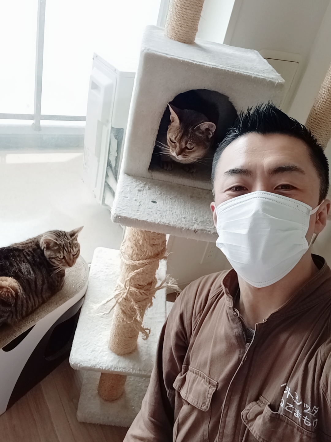 渋谷区 ご新規様 元気いっぱい アビシニアンちゃん&ベンガルちゃん お世話報告