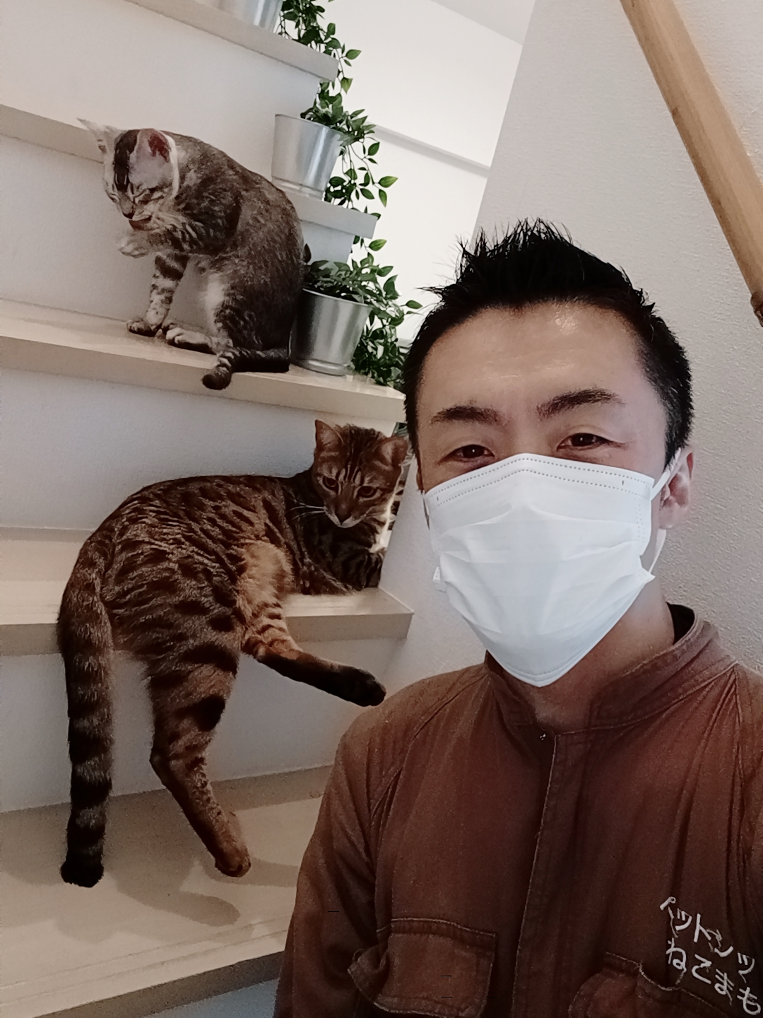 新宿区 ご新規様 仲良しファミリー ベンガルくん ベンガルちゃん ネザーランドドワーフちゃん お世話報告