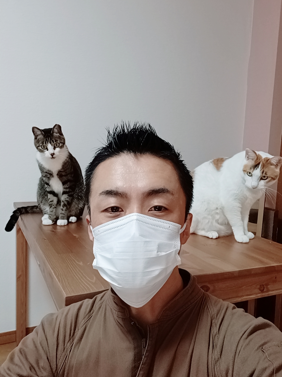 豊島区 ご新規様 サバシロくん&ミケちゃん お世話報告