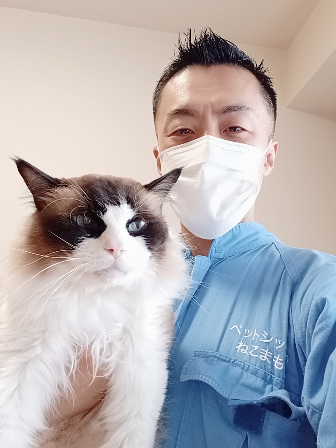 新宿区 ご新規様 恥ずかしがり屋なラグドールくん＆元気なアメリカンショートヘアくん お世話レポート🐈