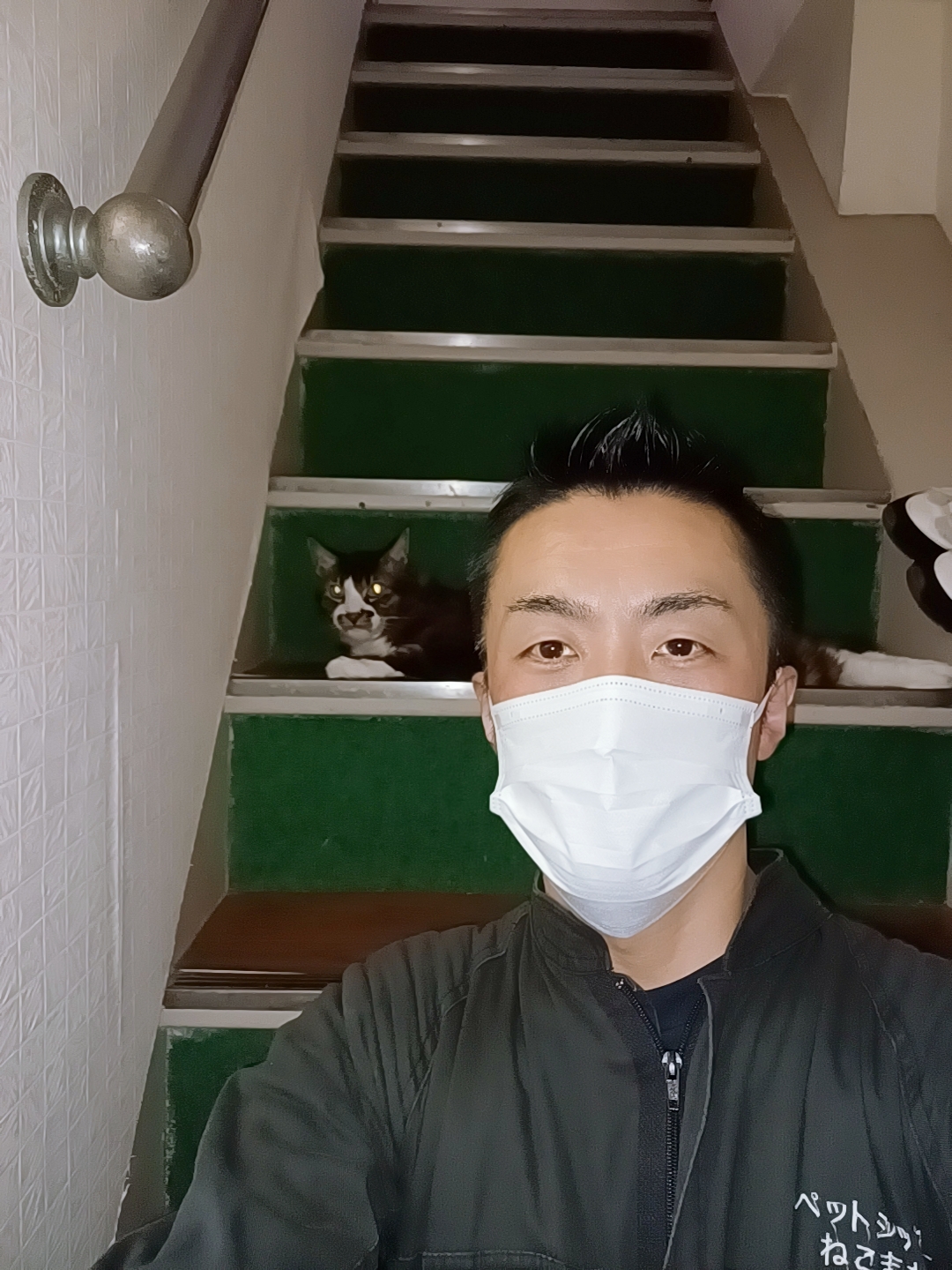 新宿区 お得意様 食欲旺盛ニャンくん お世話レポート🐈