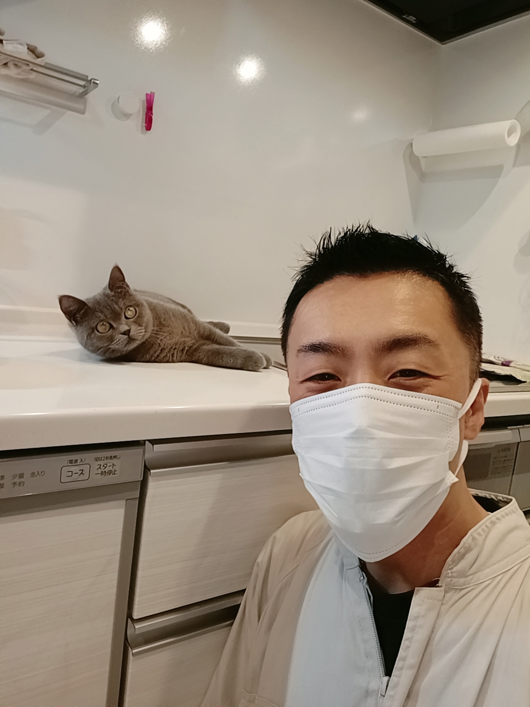 新宿区 ご新規様 おてんばブリティッシュショートヘアちゃん お世話レポート🐈