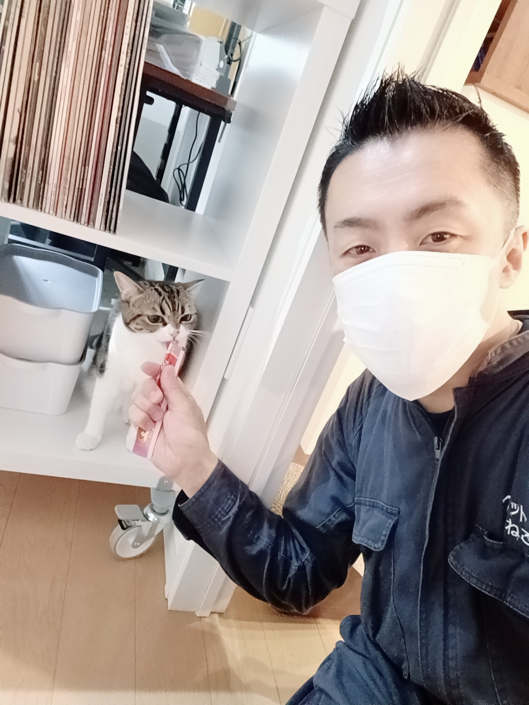 新宿区 ご新規様 緊張！ガッチガチ ミヌエットちゃん お世話レポート🐈