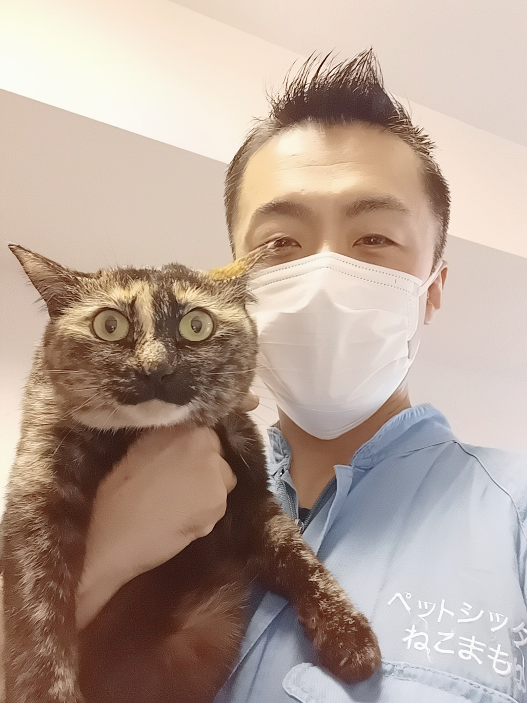 新宿区 お得意様 ベッドの下が大好きニャンちゃん お世話レポート🐈