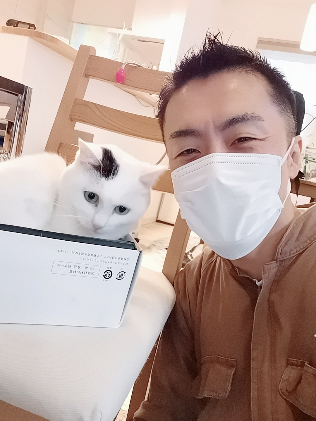 渋谷区 ご新規様 くりくりお目目ニャンちゃん お世話レポート🐈