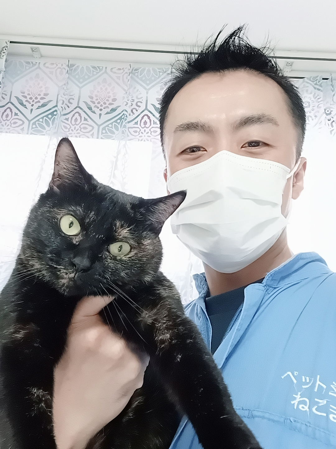 新宿区 ご新規様 くねくねサビ猫ちゃん お世話レポート🐈