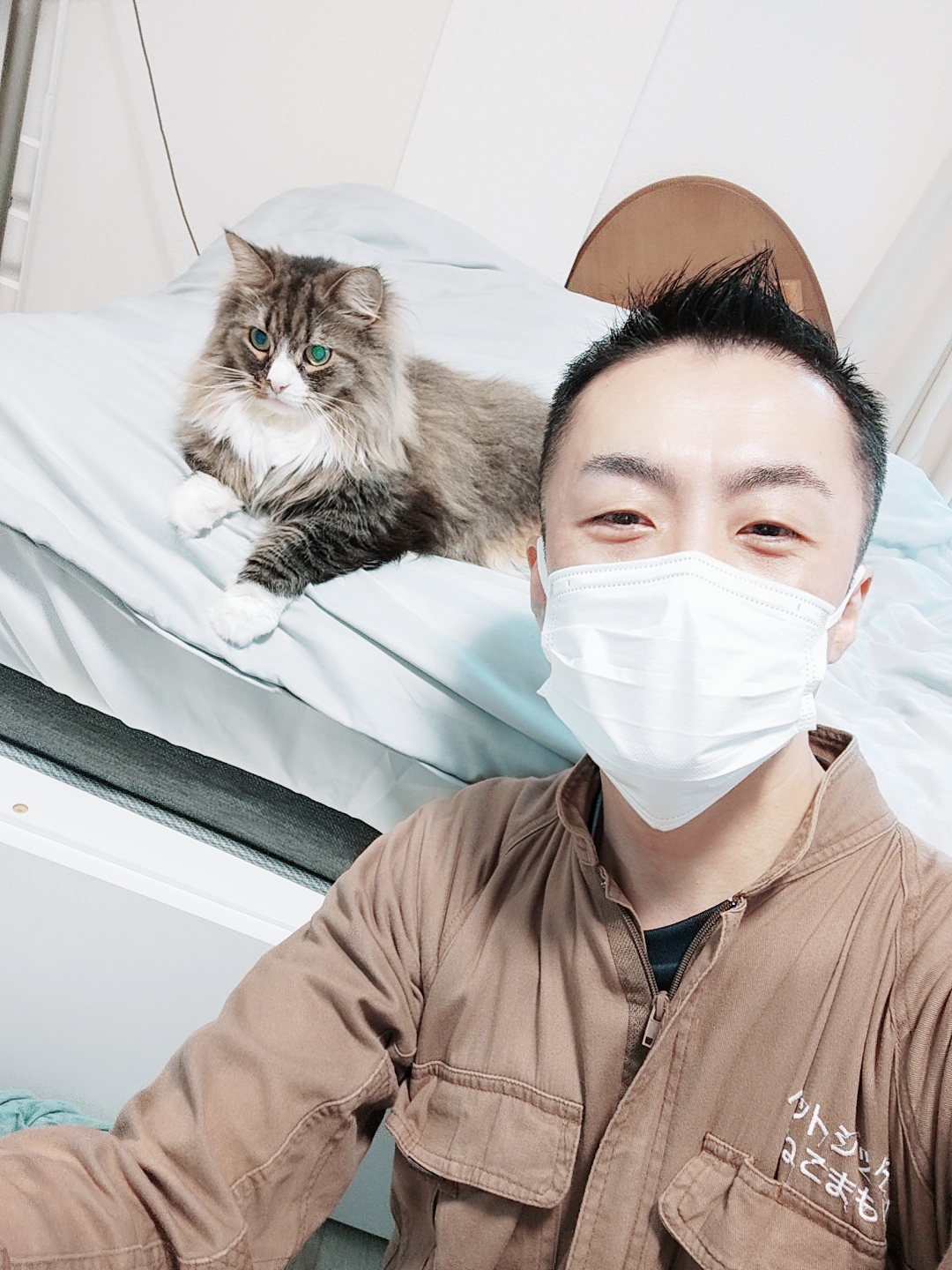 中野区 お得意様 もふもふサイベリアンくん お世話レポート🐈