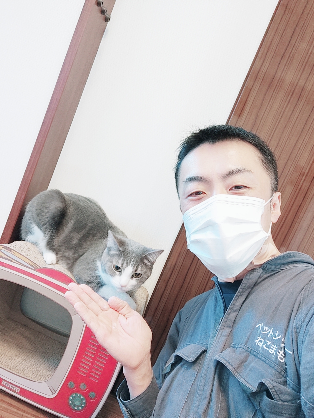 新宿区 ご新規様 元気な立ち耳スコくん お世話レポート🐈