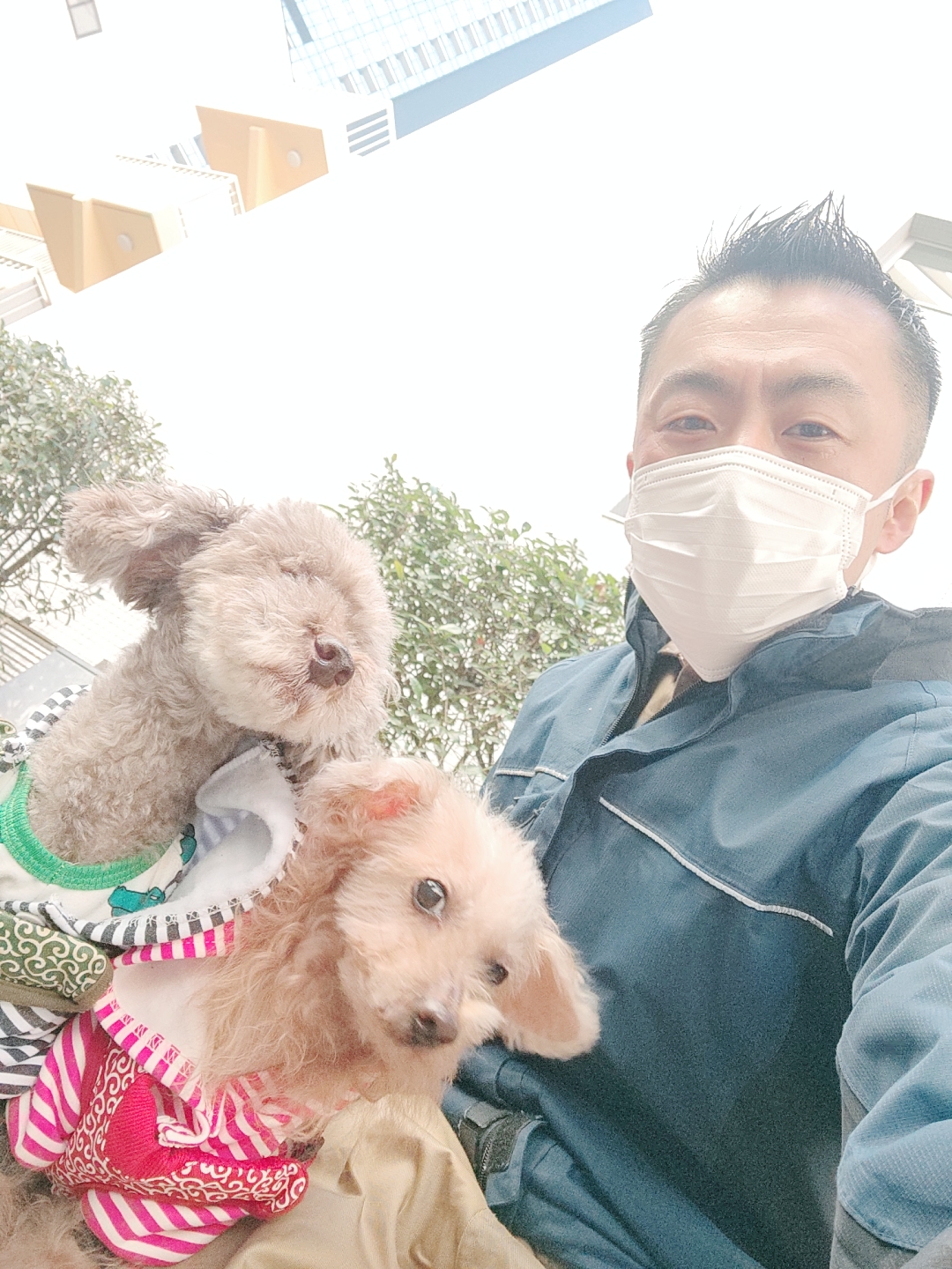 新宿区 ご新規様 13才&11才 おじいちゃま トイプードルくん お世話レポート🐶