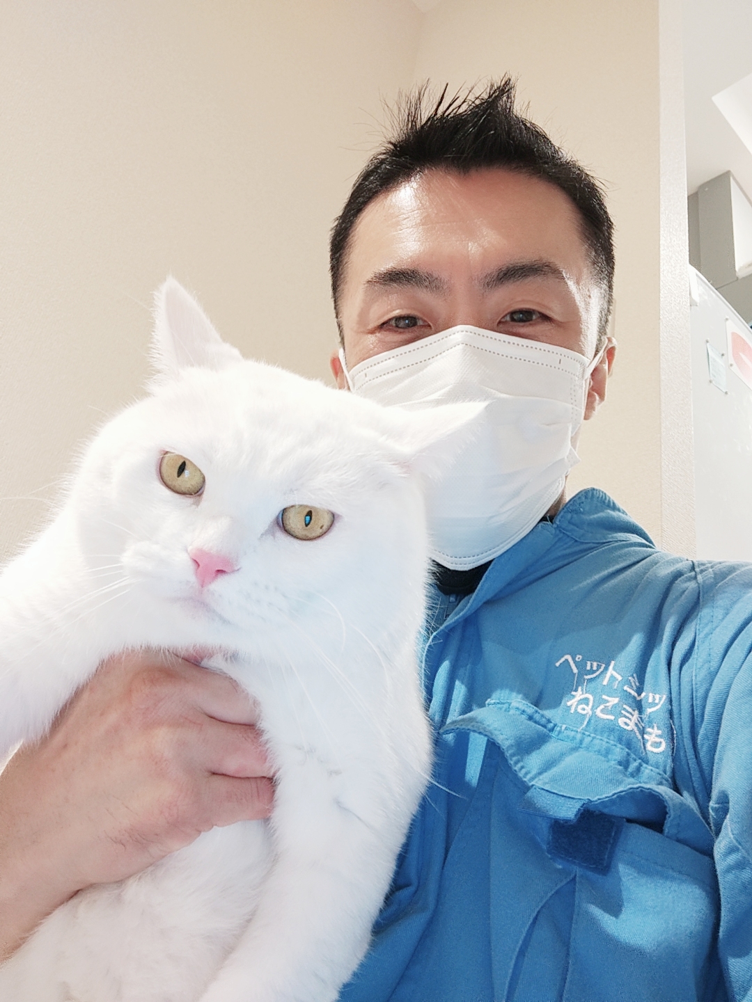 渋谷区 ご新規様 まんまる真っ白ニャンくん お世話レポート🐈