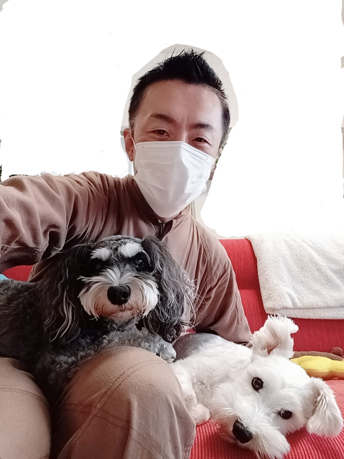 中野区 お得意様 お散歩大好き シュナウザーちゃん お世話レポート🐶